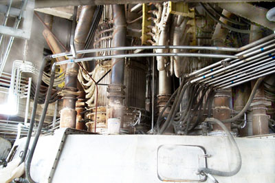 ��̼�t�F�t